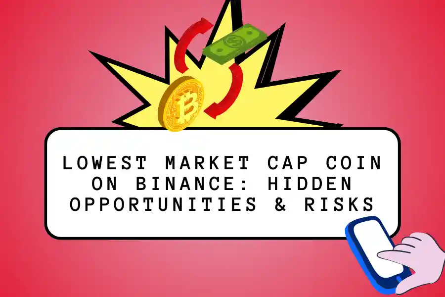 lowest market cap coin on binance hidden opportunities & risks