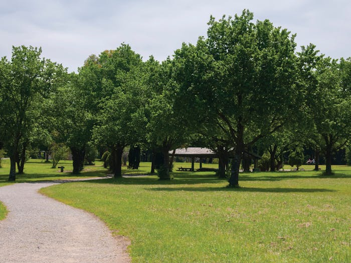 Unit and Townhouse Prices in Wantirna